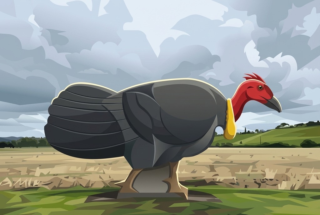 The Big Bush Turkey